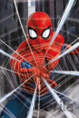 Plagát Marvel - Spiderman: Web