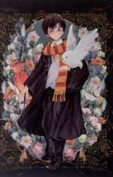 Harry Potter zápisník A5 - Harry Potter