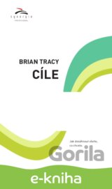 Cíle