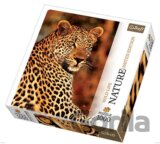 Gepard