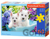 Westie Puppies