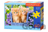 Ginger Kittens
