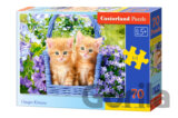 Ginger Kittens