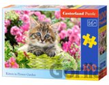 Kitten in Flower Garden