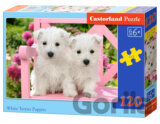 White Terrier Puppies