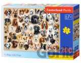 Collage with Dogs