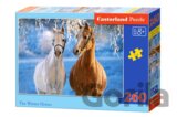 The winter Horses
