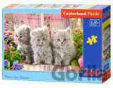 Three Grey Kittens