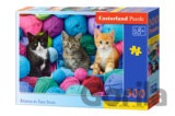 Kittens in Yarn Store