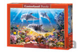 Dolphins Underwater
