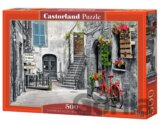 Charming Alley With Red Bicycle