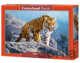 Tiger on the Rocks