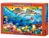 Dolphins in the Tropics