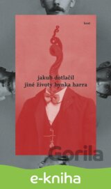 Jiné životy Hynka Harra