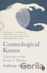 Cosmological Koans