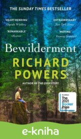 Bewilderment