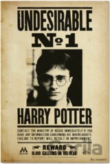 Plagát Harry Potter: Nežiadúci No.1