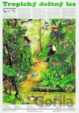 Plakát - Tropický deštný les
