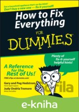 How to Fix Everything For Dummies
