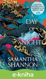 A Day of Fallen Night