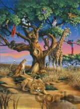 African Wildlife