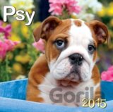 Psy 2015