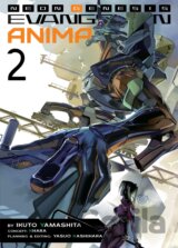 Neon Genesis Evangelion: Anima (Volume 2)