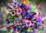 Butterflies III