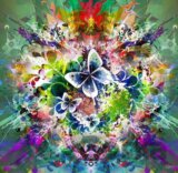 Fleurs et Papillons de Printemps