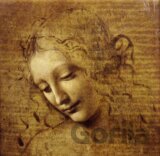Leonardo da Vinci : The Face of Giovane Fanciulla, 1508