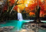 Deep Forest Waterfall