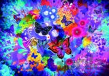 Colorful Flowers and Butterflies