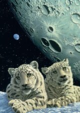 Schim Schimmel - Lair of the Snow Leopard