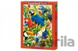 Avian World