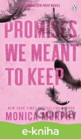 Promises We Meant To Keep