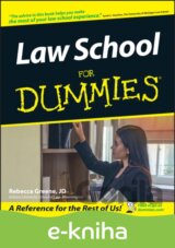 Law School For Dummies