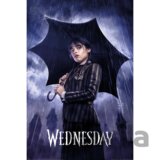 Plagát Wednesday - Downpour