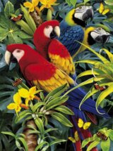 Majestic Macaws 3D