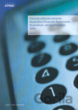 Vzorová účtovná závierka zostavená podľa slovenských právnych predpisov k 31. decembru 2004