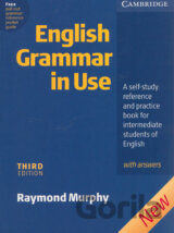 English Grammar in Use (3rd Edition)