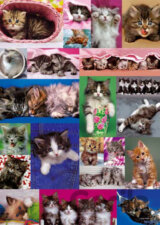 Kittens Collage