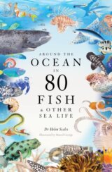 Around the Ocean in 80 Fish and other Sea Life