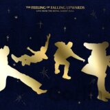 5 Seconds Of Summer: Feeling Of Falling Upwards LP