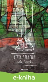 Cesta z prachu