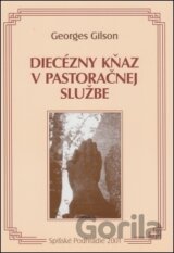 Diecézny kňaz v pastoračnej službe