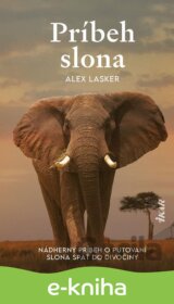Príbeh slona