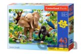 Junior Jungle