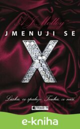 Jmenuji se X – Láska, co spaluje. Touha, co ničí.
