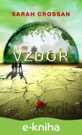 Vzdor
