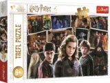 Harry Potter s přáteli